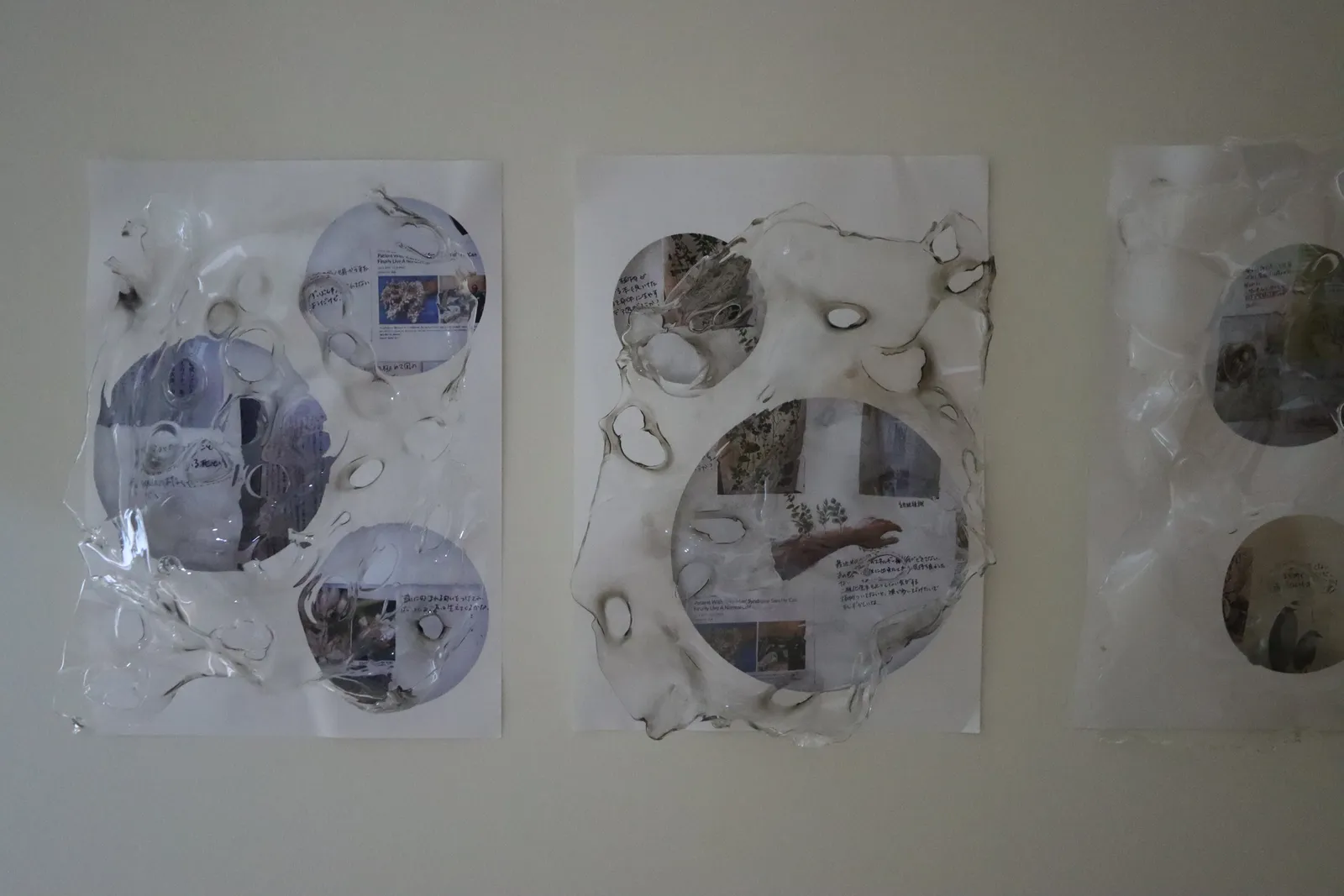 Three translucent collages layered over photographs and text